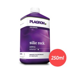 RAGON FILING 250ML